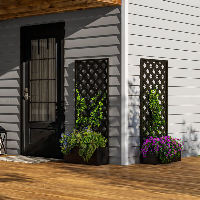 Freestyle 2 Ft. X 4 Ft Classic Lattice & Reviews | Wayfair